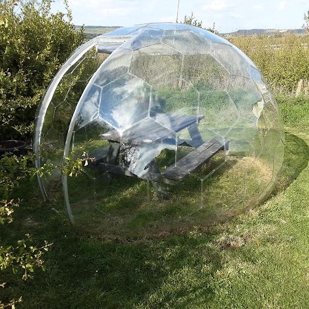Villa The Rainbow Pod Milltown Malbay Exterior foto